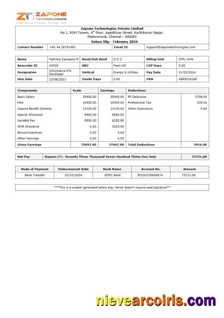 Zapone Technologies payslip